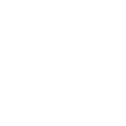 Enterprise Icon