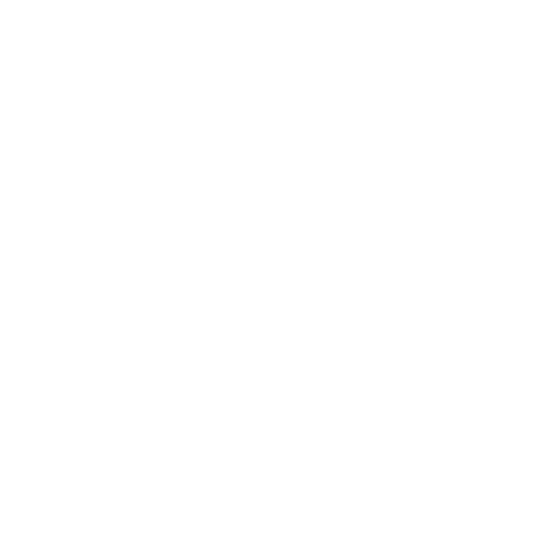 Starter Icon